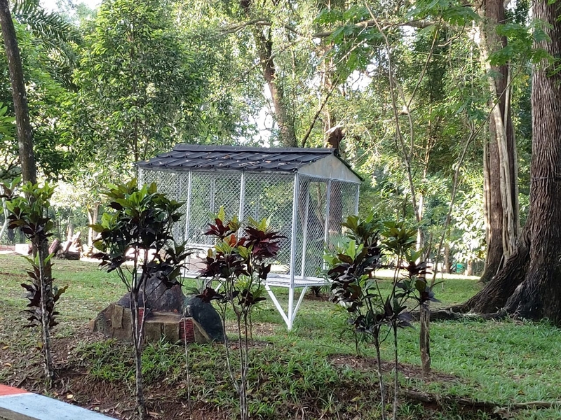 Adiwiyata Nasional 3